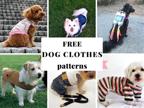 Free Printable Dog Clothes Patterns And Tutorials ⋆ Hello Sewing