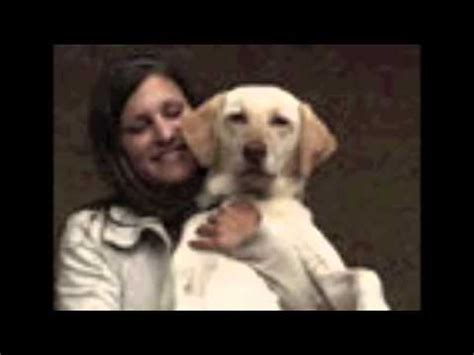 Dresser Son Chien En 15 Minutes Par Jour PDF YouTube