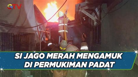 Si Jago Merah Mengamuk Permukiman Padat Penduduk Di Pisangan Timur