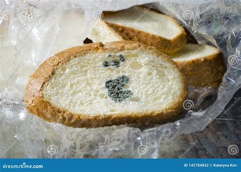 Mouldy Bread Penicillium Mold Stock Photo Image Of Growth Slice