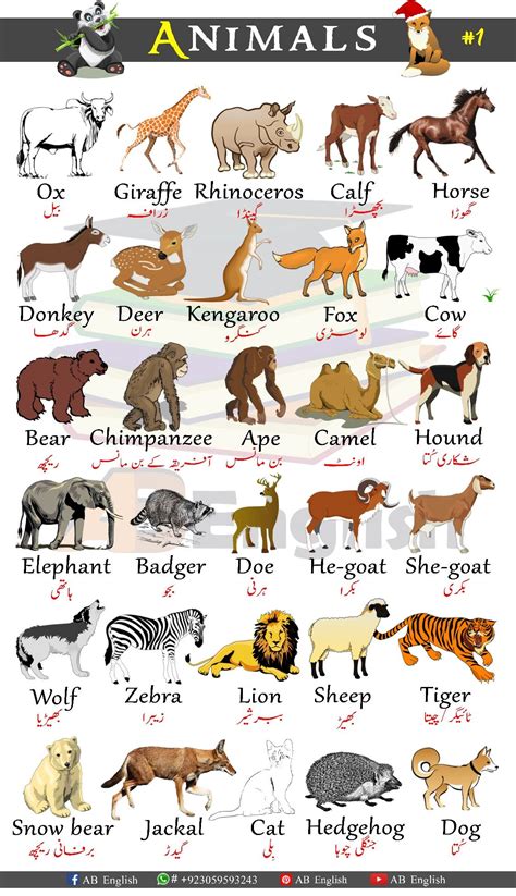 35+ All animals name in english with pictures ideas | internettest