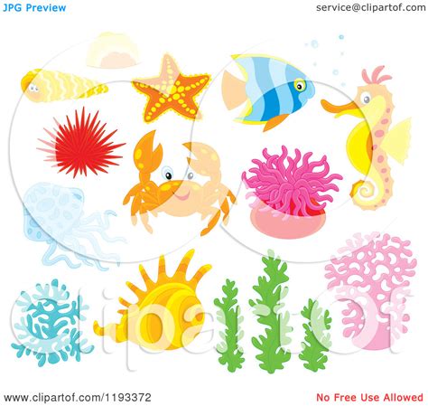 underwater plants clipart 20 free Cliparts | Download images on ...