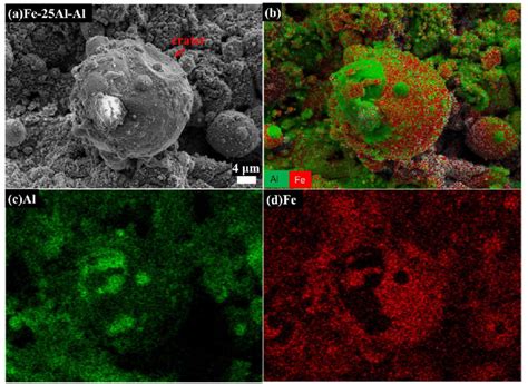 Sem Image A And Eds Elemental Mapping Analysis B D Of An Fe