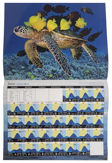 Hawaii Fishing Season Calendar Una Oralee