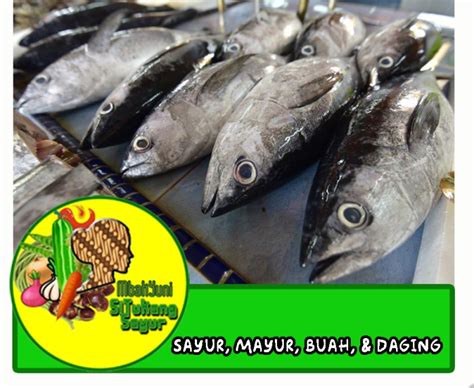 Jual Ikan Tongkol Laut Basah Fresh Bumbu Ungkep Kuning Gram