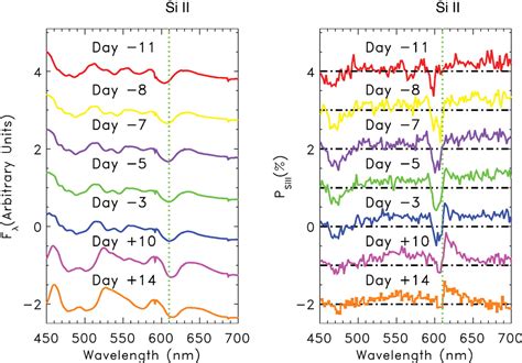 Spectropolarimetric Diagnostics Of Thermonuclear Supernova Explosions Science