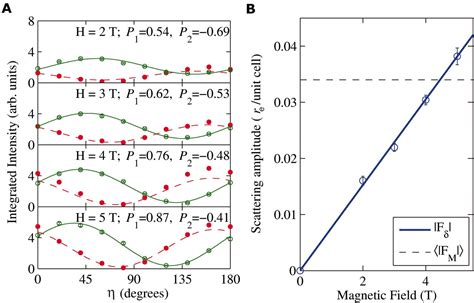 Femtoscale Magnetically Induced Lattice Distortions In Multiferroic