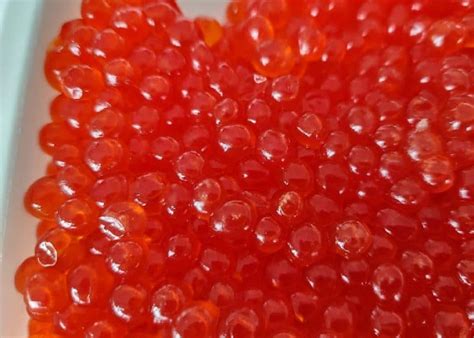 Ikura Salmon Roe King Salmon Caviar Lummi Island Wild