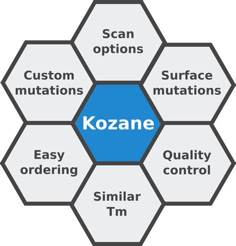 Online primer design tool - pormultimedia