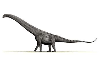 Ii Argentinosaurus