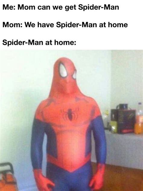 *sad Spider-Man noises* : r/memes