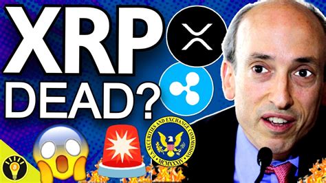 Warning Sec Appeals Ripple Xrp Case Ruling Youtube