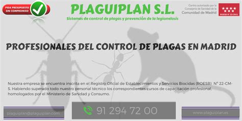 Control De Plagas Madrid Plaguiplan