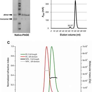 Monomer Structures Of H Domain Protein A Two Monomer Structures Of