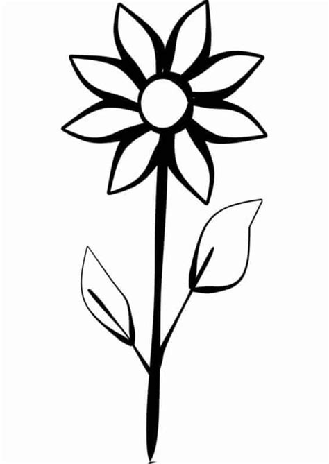 Como desenhar um girassol? – Passo a passo fácil de seguir! | Flores ...