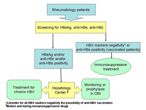 Jcm Free Full Text Treatment Or Prophylaxis Against Hepatitis B Virus Infection In Patients