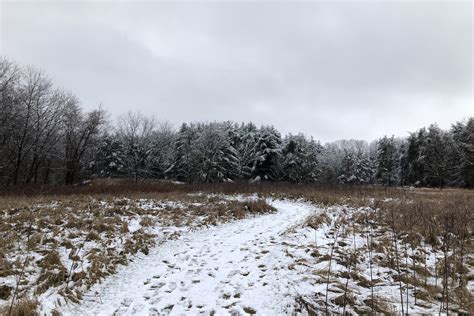 Whitehouse Nature Center | Albion College