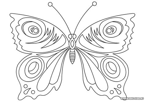 Раскраски Бабочка – Распечатать бесплатно для детей