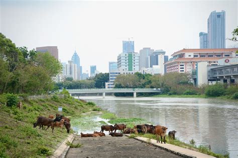 How close is China? Bike Tour to the Border | Hidden Gems Travel
