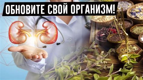 Уникальный старинный рецепт китайской медицины для обновления почек и ...
