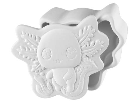 Axolotl Box (B911) | The Clay Date