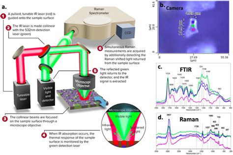 Schematic Of An Optical Photothermal Ir Raman Spectrometer A A