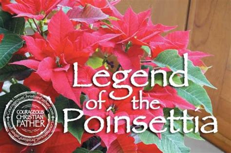 Legend of the Poinsettia | Courageous Christian Father