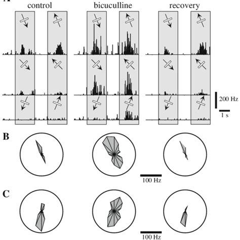 Bicuculline effects on orientation and direction specificity in the cat ...