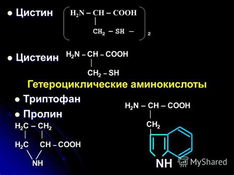 Презентация на тему: "Аминокислоты – это органические кислоты ...