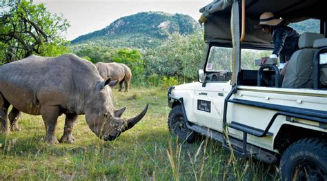 Safari Di 4 Giorni A Ol Pejeta Aberdare E Solio Ranch In Jeep 4x4