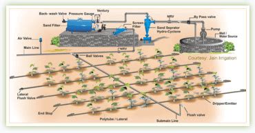 Rungta Drip Irrigation System At Best Price In New Delhi By Rungta