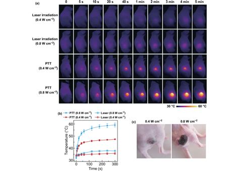 In Vivo Ptt A Infrared Thermal Images Of The A Bearing Mice B