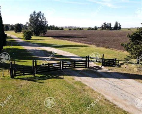 Campo Has En Venta Agr Colas Con Mejoras Loberia Agroads