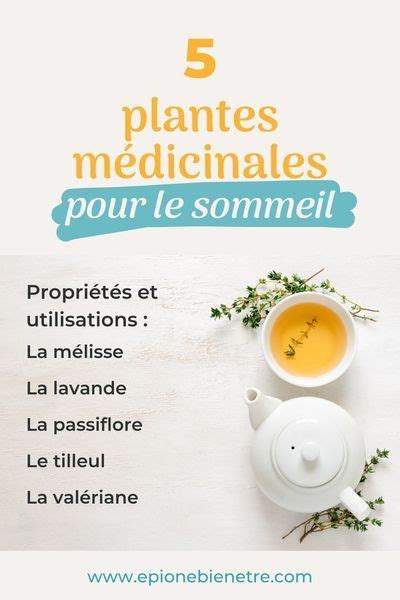 D Couvrez Ces Plantes M Dicinales Qui Vous Aident Bien Dormir M