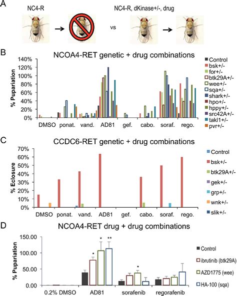 Figure 5 From Drosophila Cancer Models Identify Functional Differences Between Ret Fusions