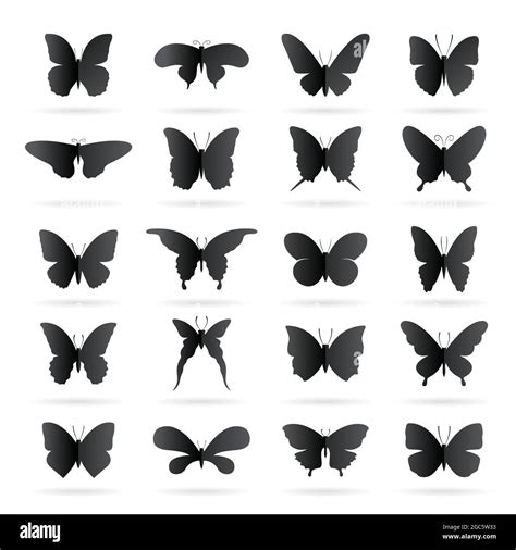 Grupo Vectorial De Mariposa Negra Sobre Fondo Blanco Icono De Mariposa