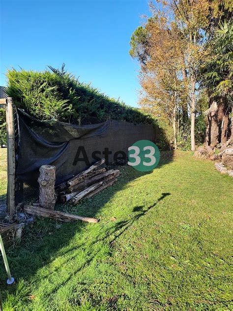 Terreni All Asta Terreni Agricoli In Asta Ma Non Solo Aste