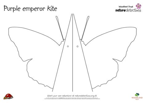 Make A Butterfly Kite Teaching Resources