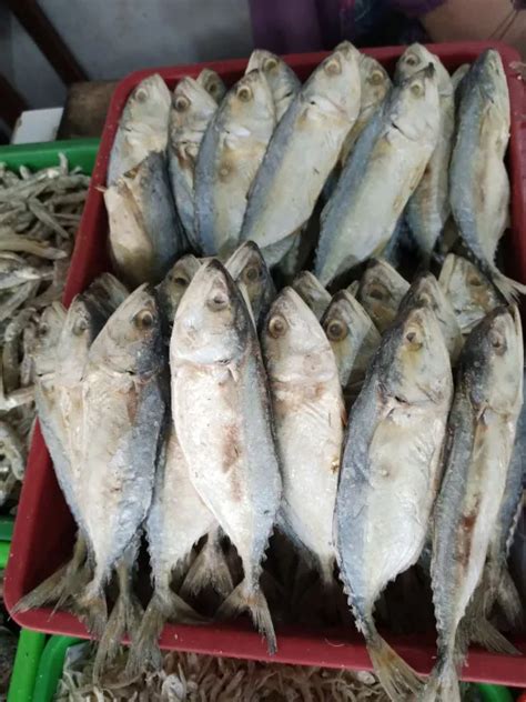 Ikan Asin PEDA PUTIH Kembung Fresh 1kg Lazada Indonesia