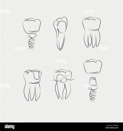 Teeth Collection Implant Braces Tooth Crown Dental Seal Drawing In