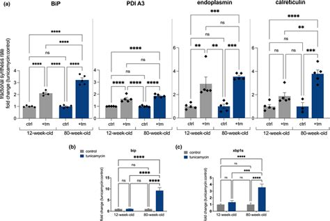 (a) Ratio of changes in fractional synthesis rate in 12‐week‐old and... | Download Scientific ...
