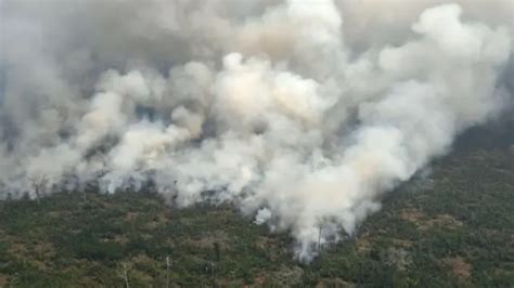 Incendios En El Amazonas Bolsonaro Envía Al Ejército A Las Zonas Afectadas Tras La Presión