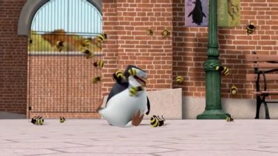 Watch The Penguins Of Madagascar Season Episode Miracle On Ice