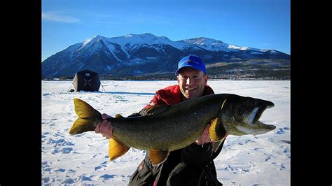 Huge Colorado Lakers Candr Fish Over 18 Gopro Ice Fishing Youtube