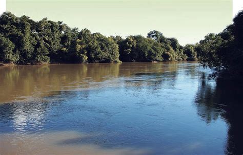 O Parque Estadual Do Rio Do Peixe Abriga Uma Diversidade Grande Da