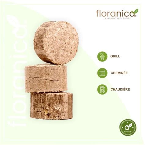 Floranica B Ches De Bois B Ches Compress Es X Kg B Ches