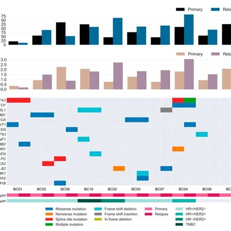 Repertoire Of Somatic Alterations Of Primary And Relapsed Cancer Download Scientific Diagram