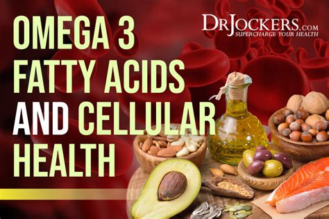 Omega 3 Fatty Acids and Cellular Health - DrJockers.com