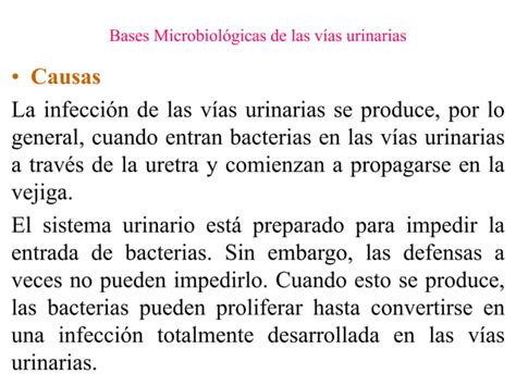 Microbiologia Clase Tracto Urinario Bacterias Ppt