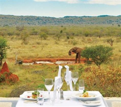 Madikwe Hills – Safari Guide Africa